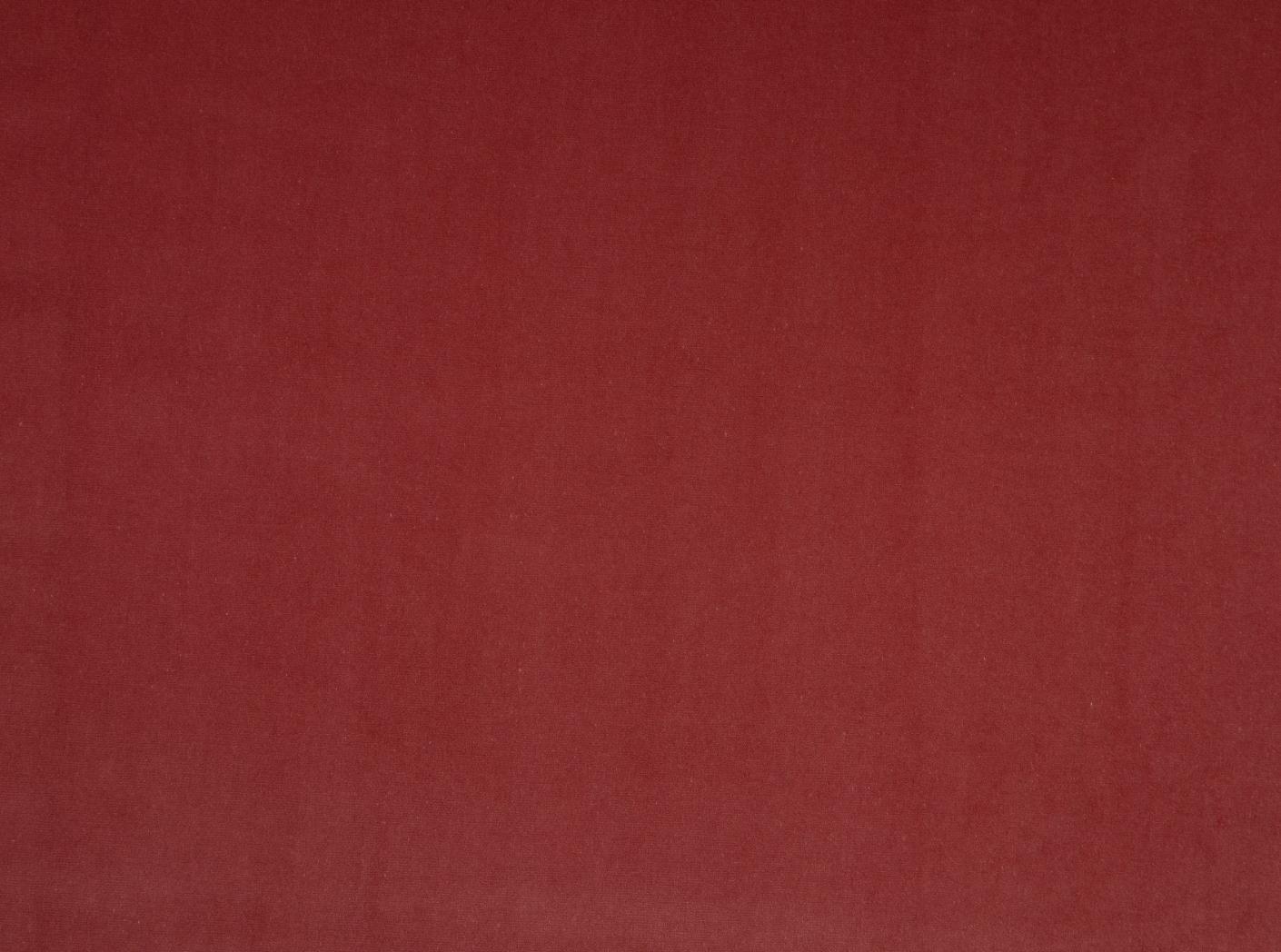 Ritz Trend 2491, mango Ritz Trend 2491, mango