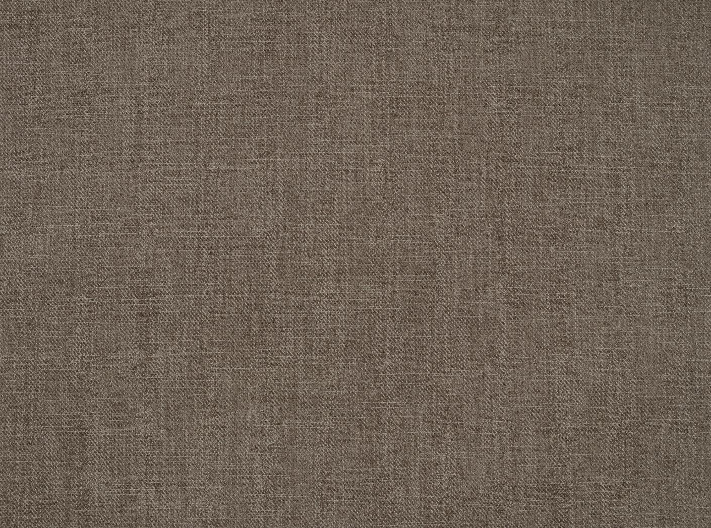 Story 36 Fossil 25 Story 36 Fossil 25