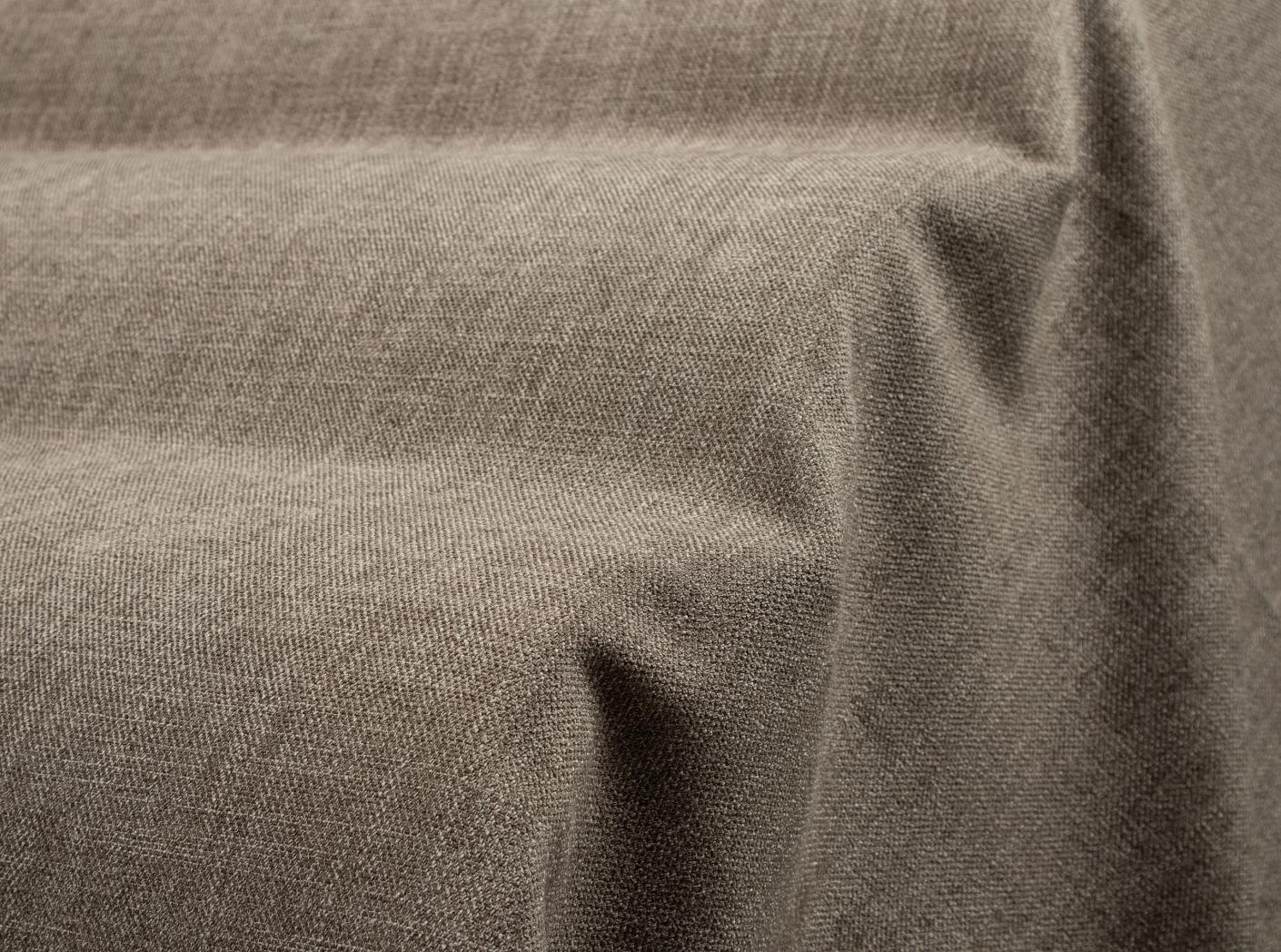 Story 36 Fossil 25 Story 36 Fossil 25