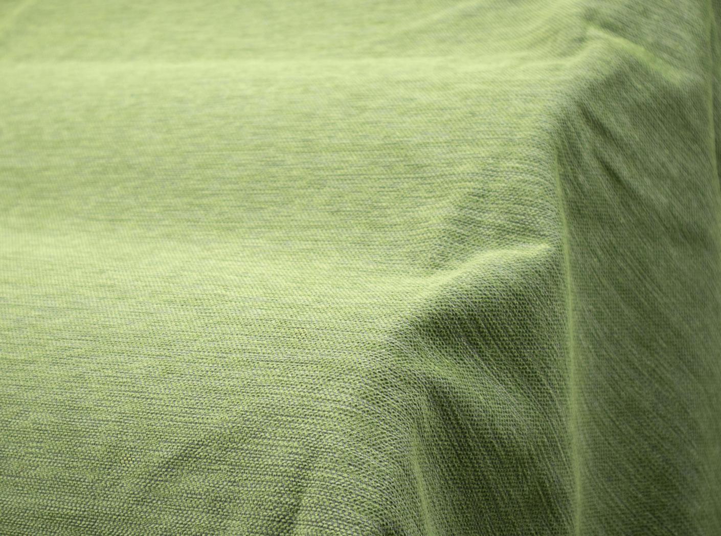 Studio CS 9807 Peperomia Studio CS 9807 Peperomia