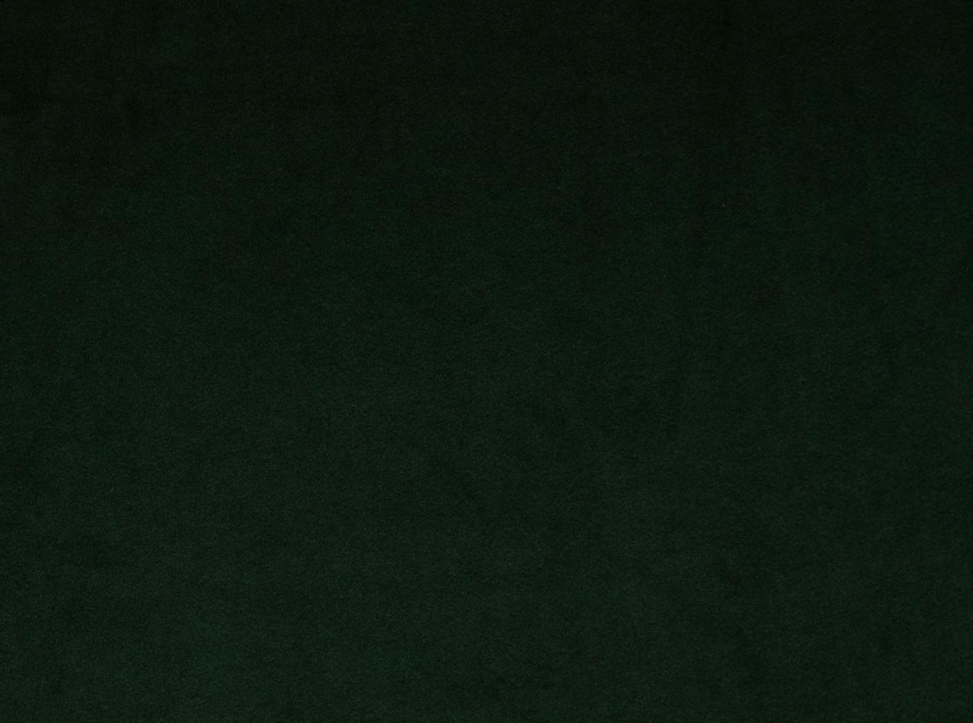 Megan+ 73 Bonzai Megan+ 73 Bonzai