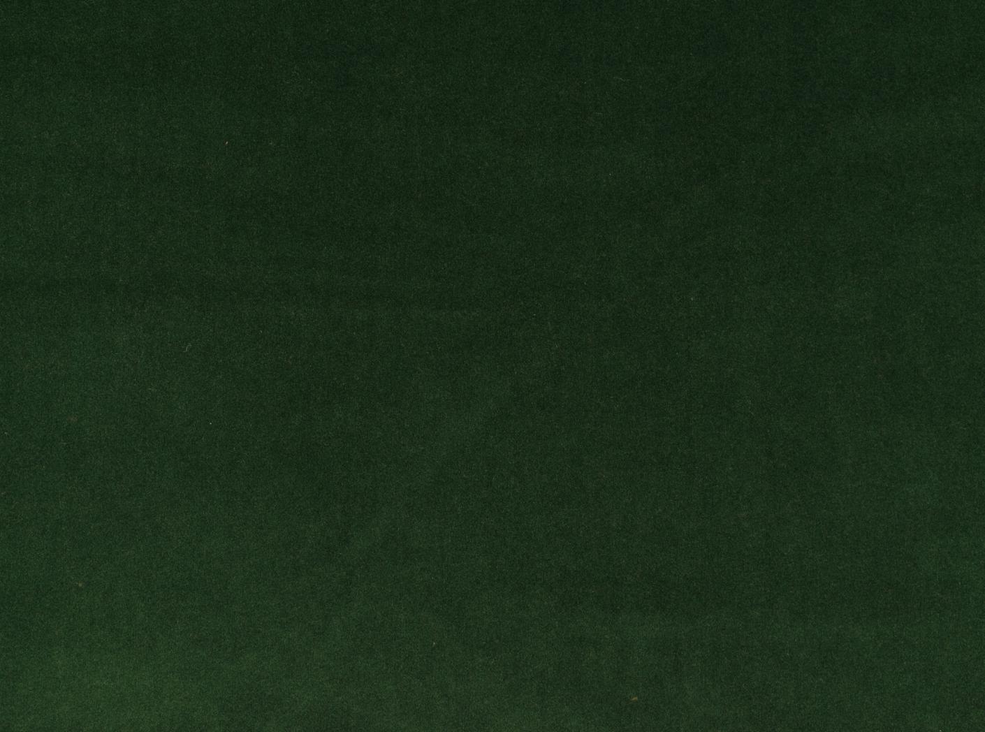 Megan+ 73 Bonzai Megan+ 73 Bonzai