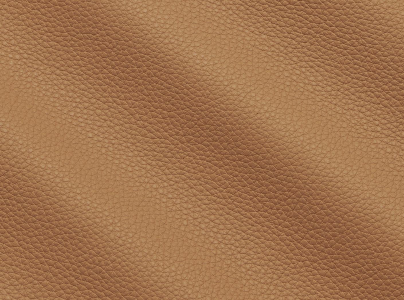 Møbelhud Prescott EU 221 Lion Møbelhud Prescott EU 221 Lion