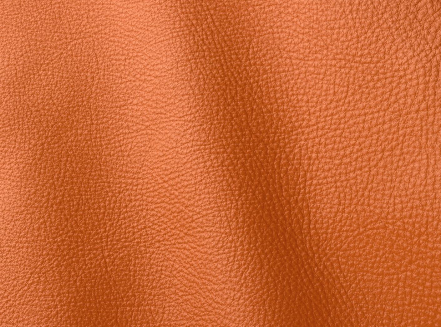 Møbelhud Prescott EU 246 Claw Møbelhud Prescott EU 246 Claw