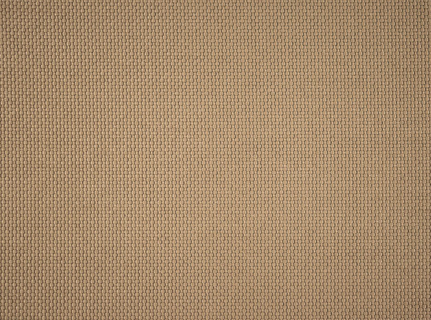 Intro CS 1014 Taupe Intro CS 1014 Taupe