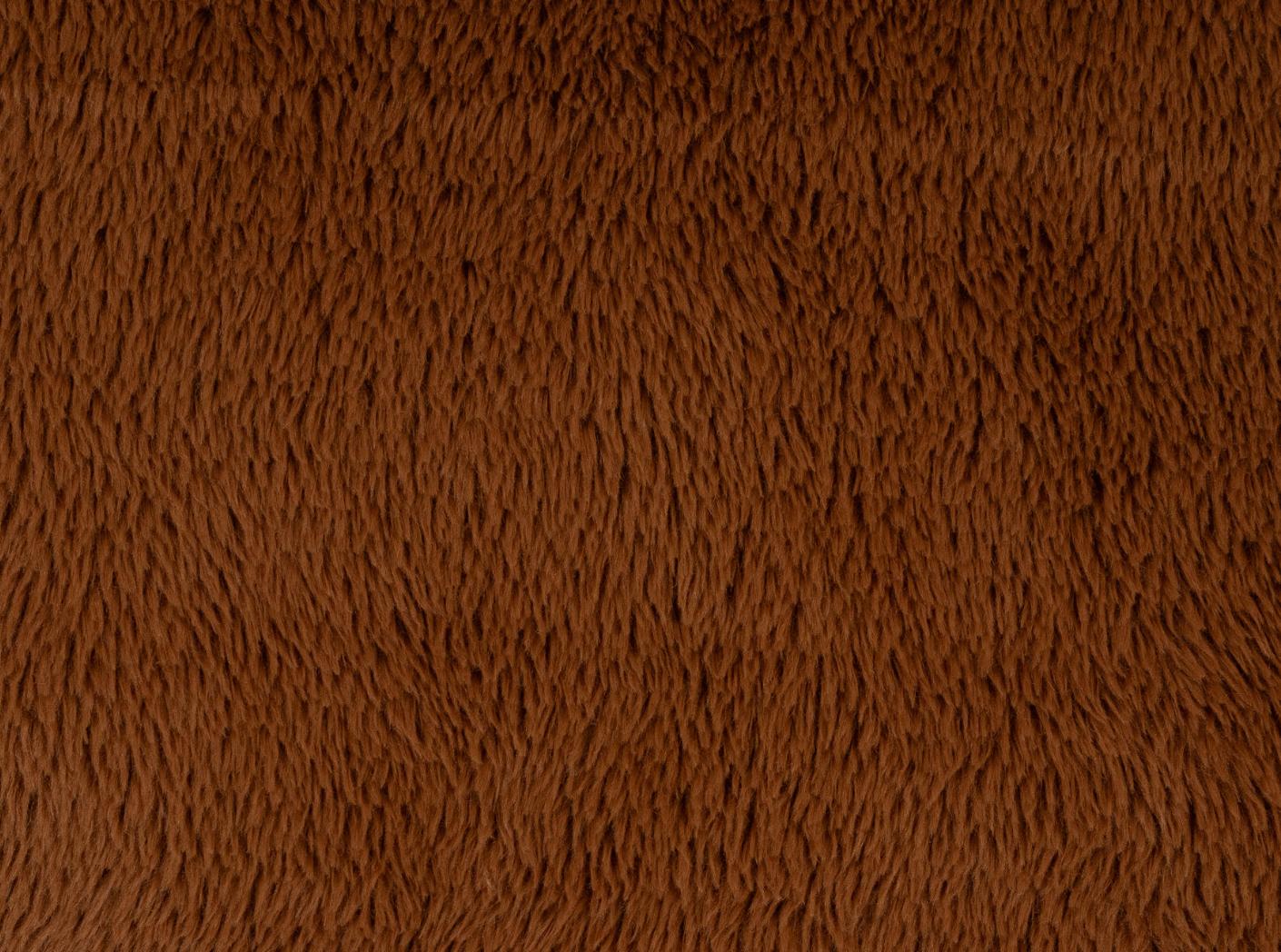 Imagine 500 Fox Imagine 500 Fox