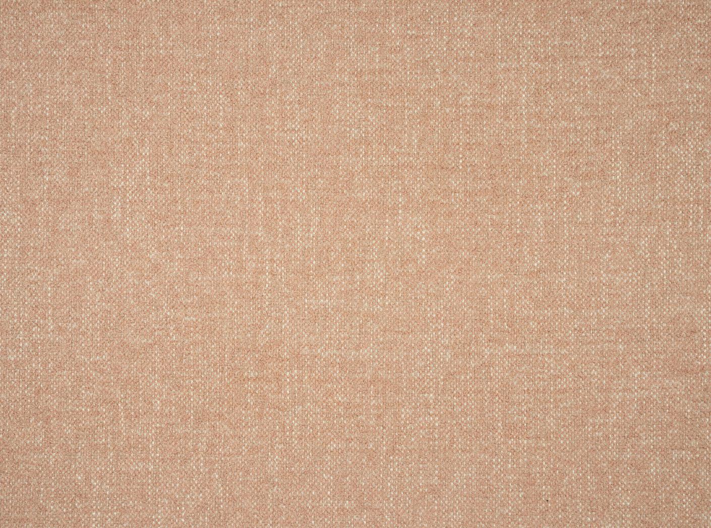 Liberty 182 Rose Liberty 182 Rose