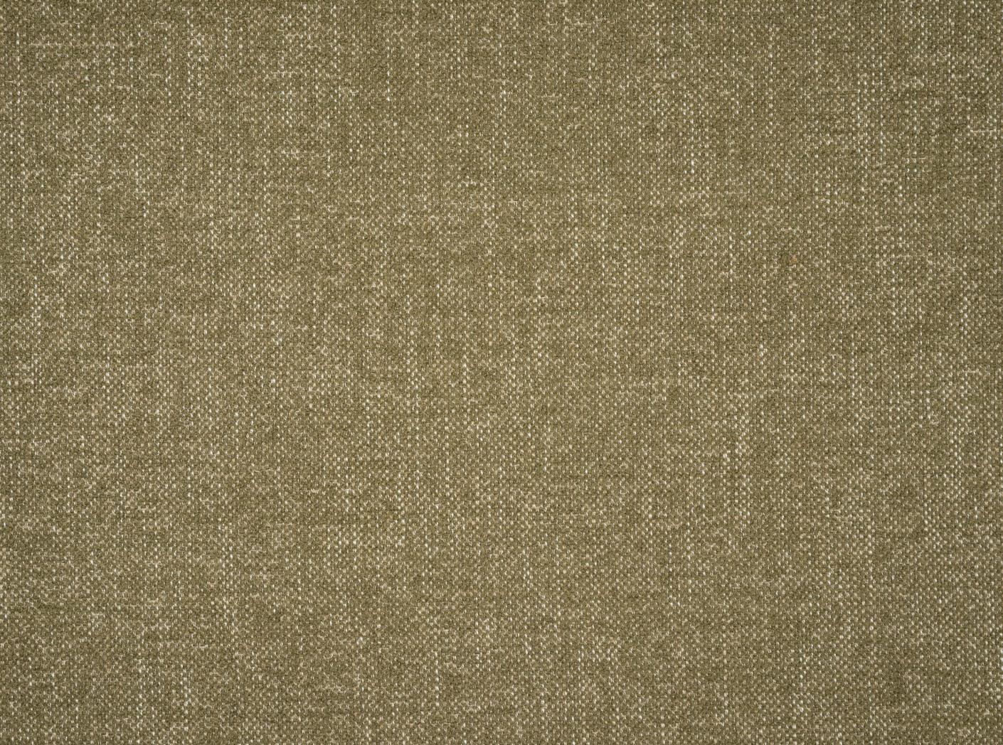 Liberty 355 Thuja Liberty 355 Thuja