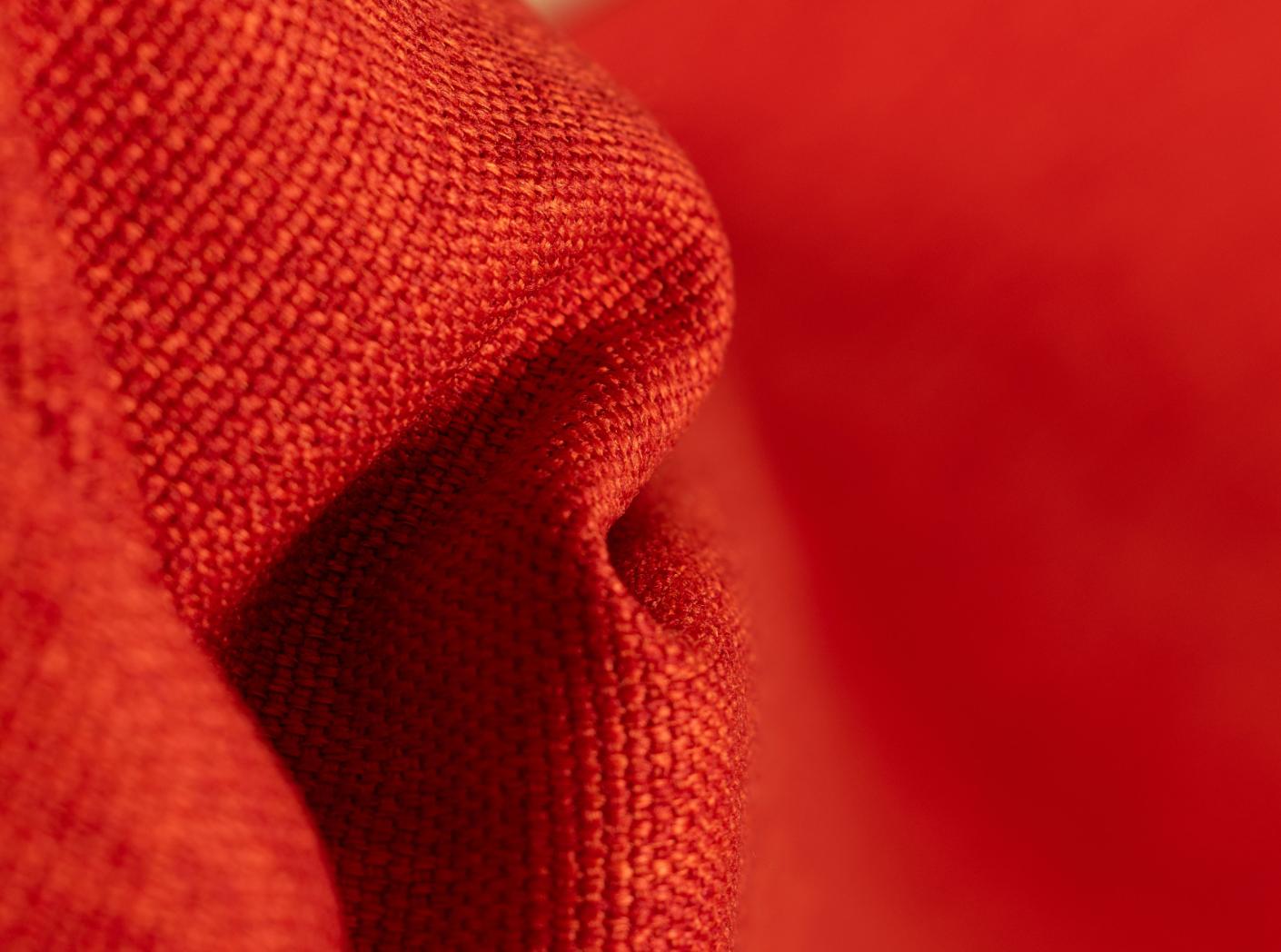 Lido 41 tulipan 08 Lido 41 tulipan 08