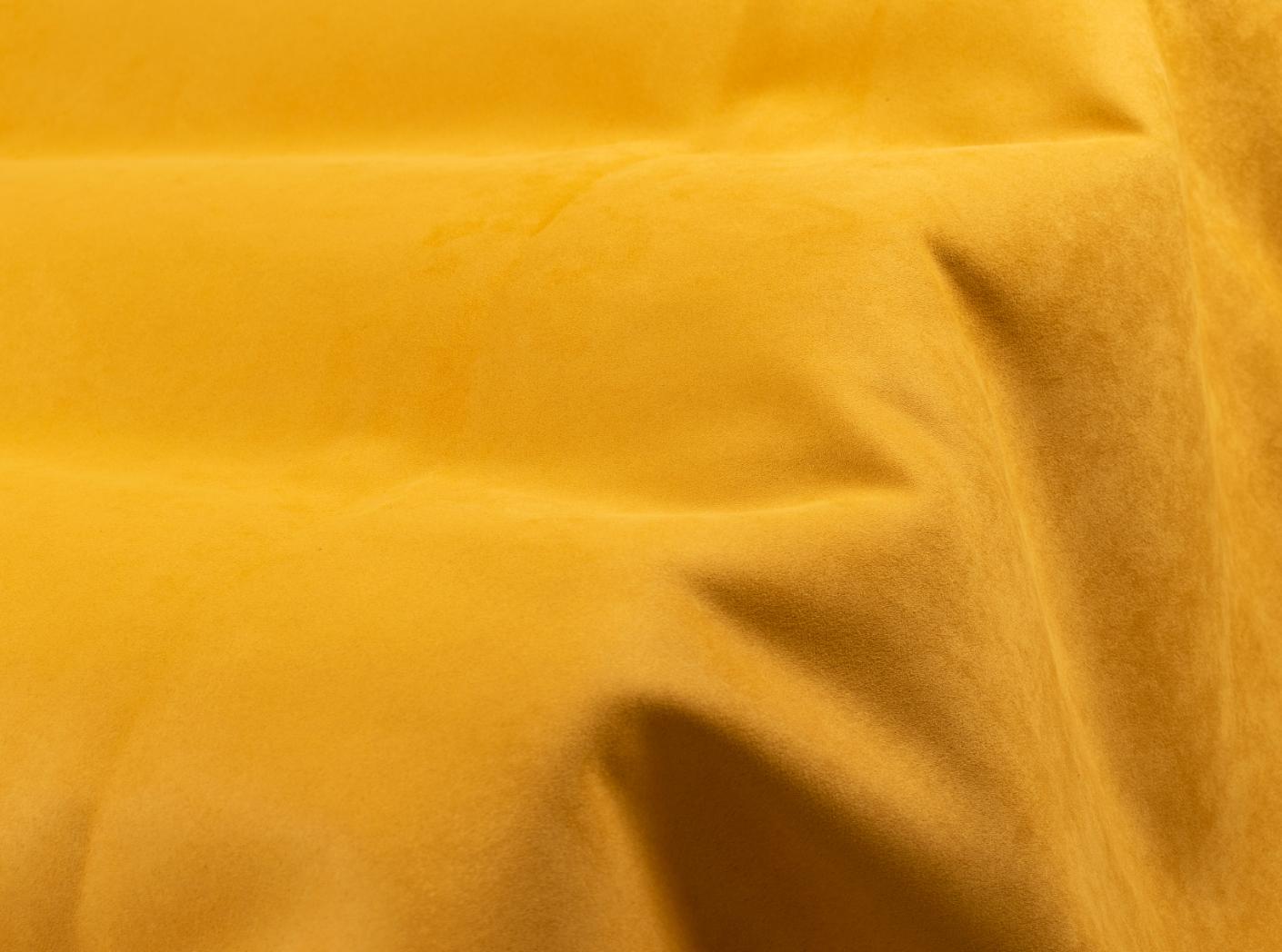 Macau soft 502 Narcissus Macau soft 502 Narcissus