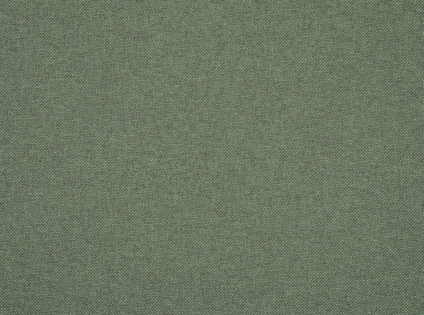 Pop CS 9227 Lily Pop CS 9227 Lily