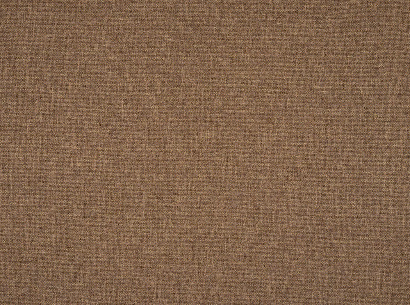 Pop CS 81 Apricot Pop CS 81 Apricot