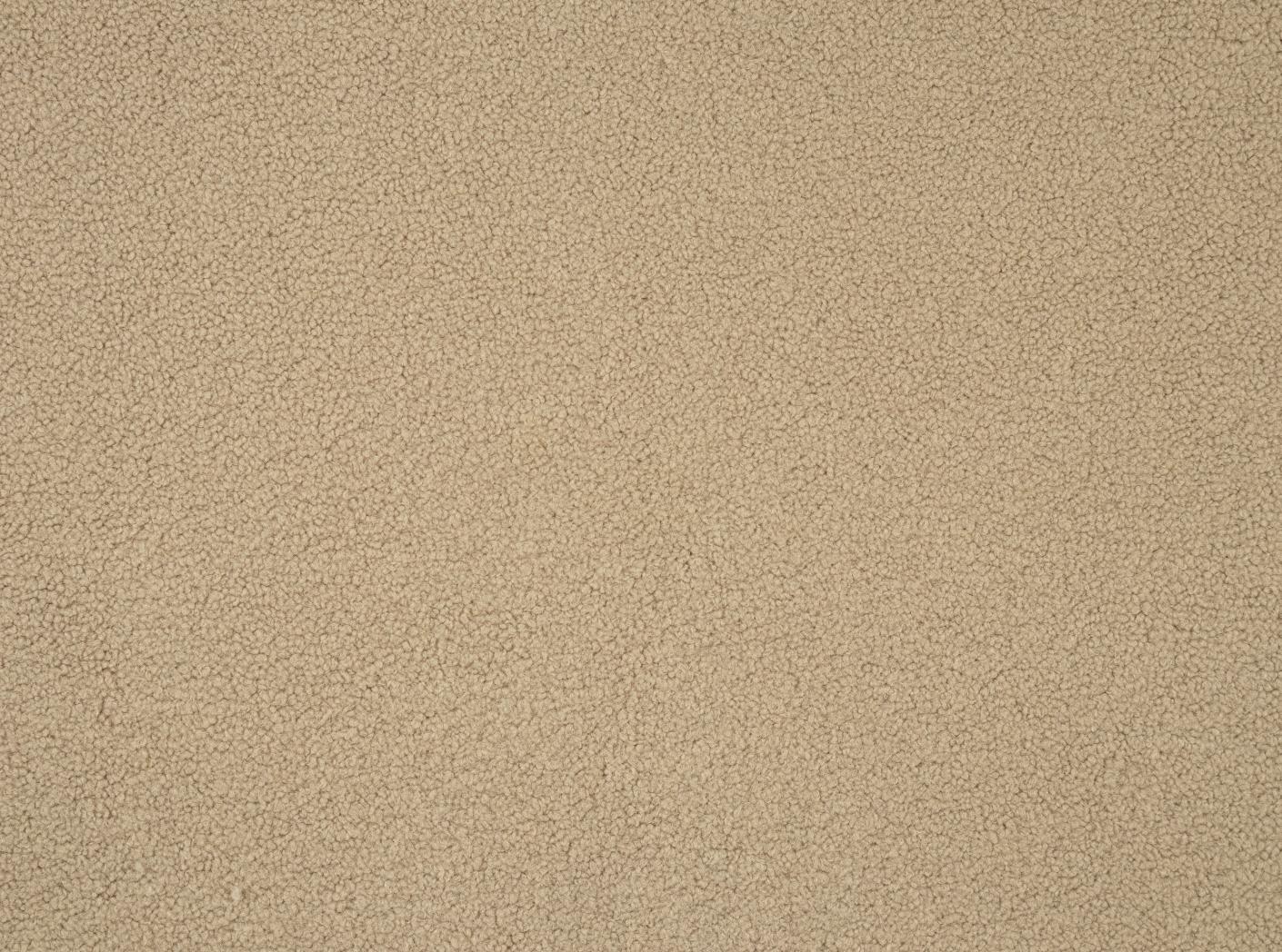 Poodle Camel Poodle Camel