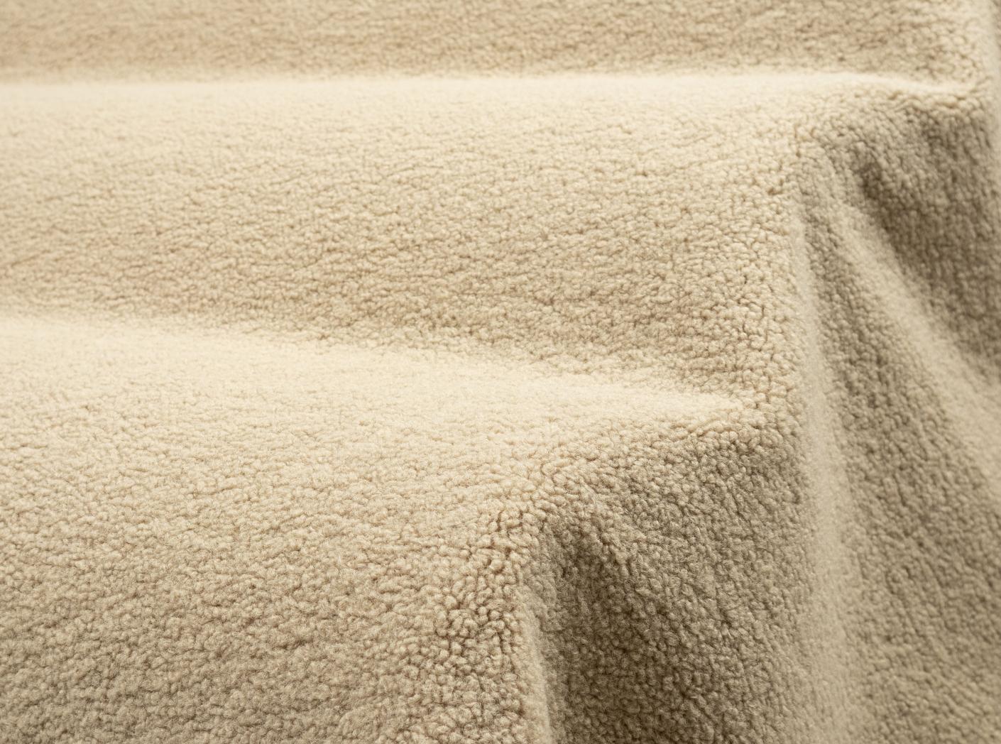 Poodle Camel Poodle Camel