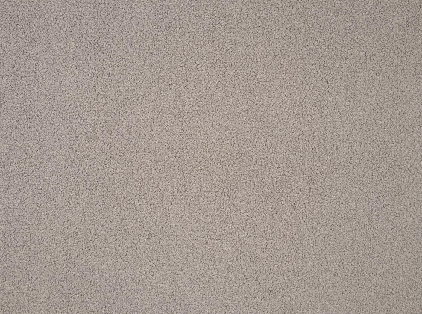 Poodle Dove Poodle Dove