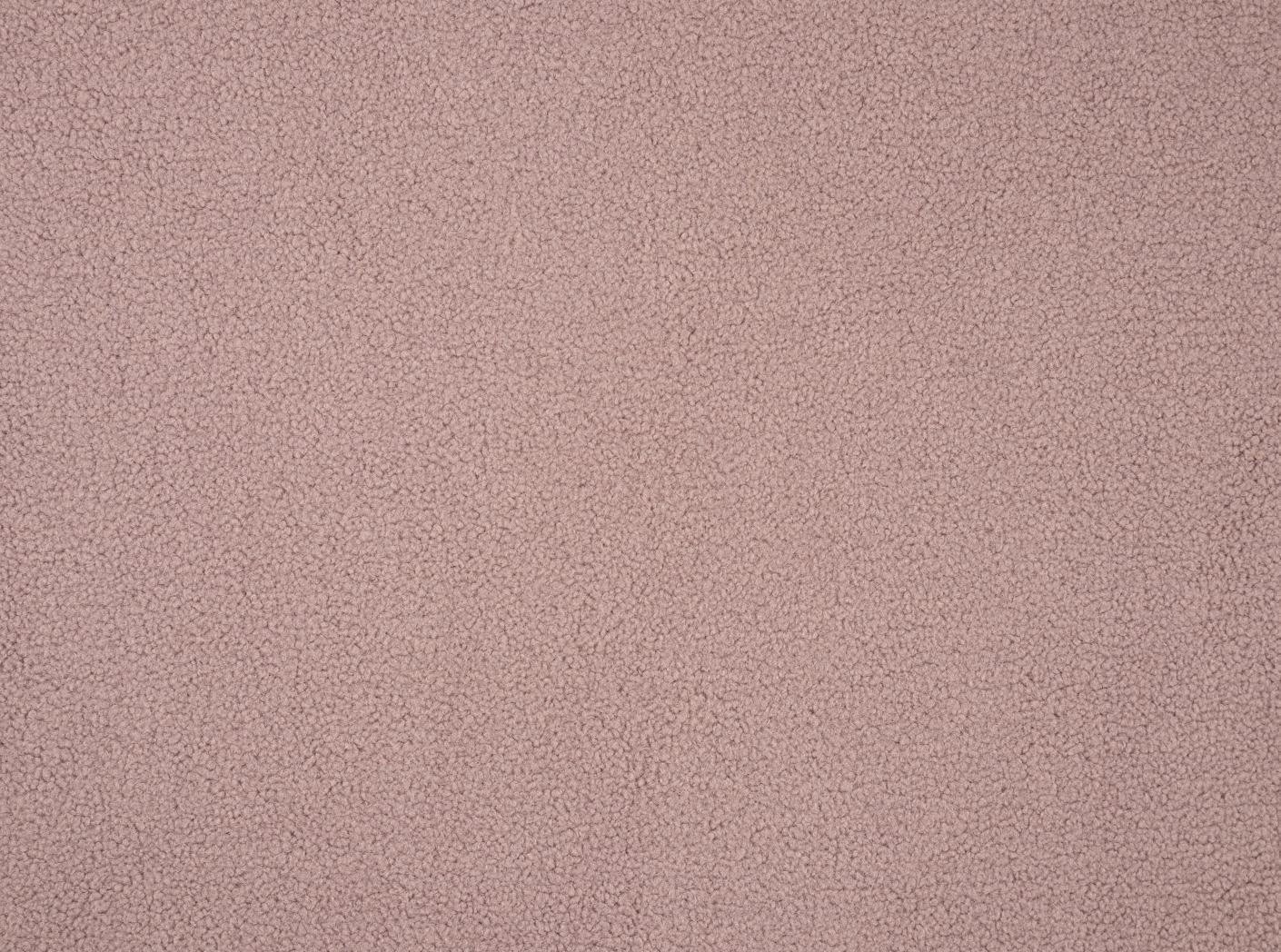 Poodle Blush Poodle Blush