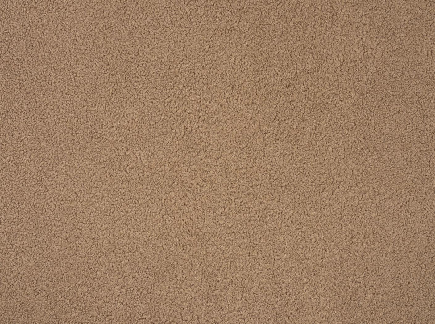 Poodle Latte Poodle Latte