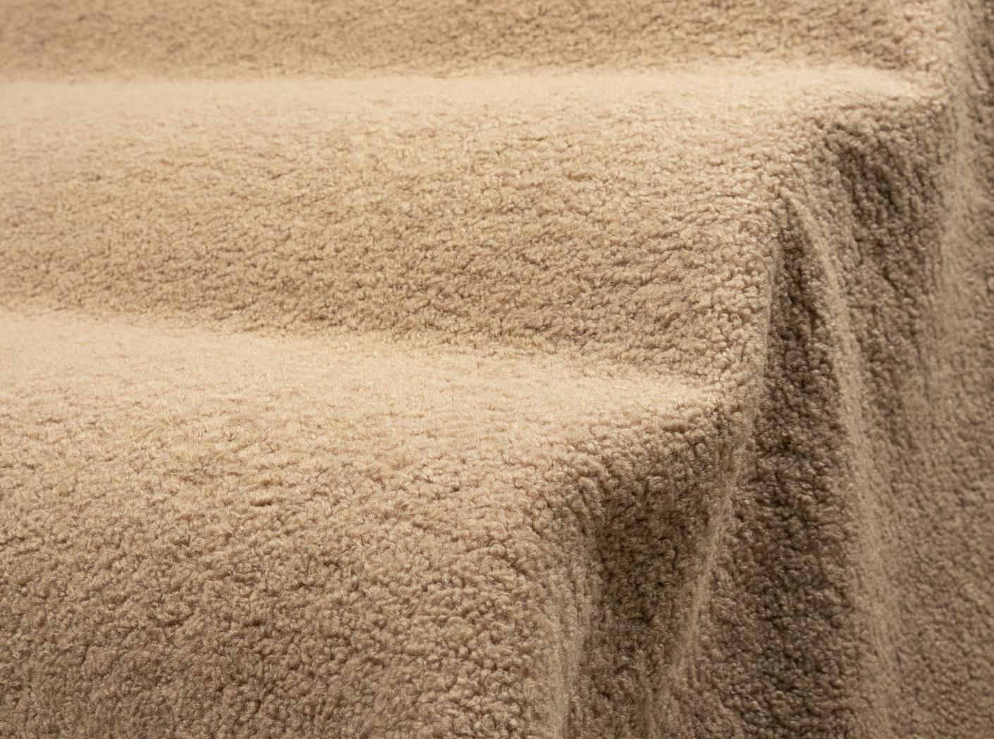 Poodle Latte Poodle Latte