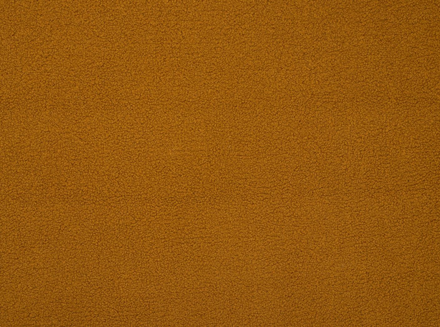 Poodle Ochre Poodle Ochre