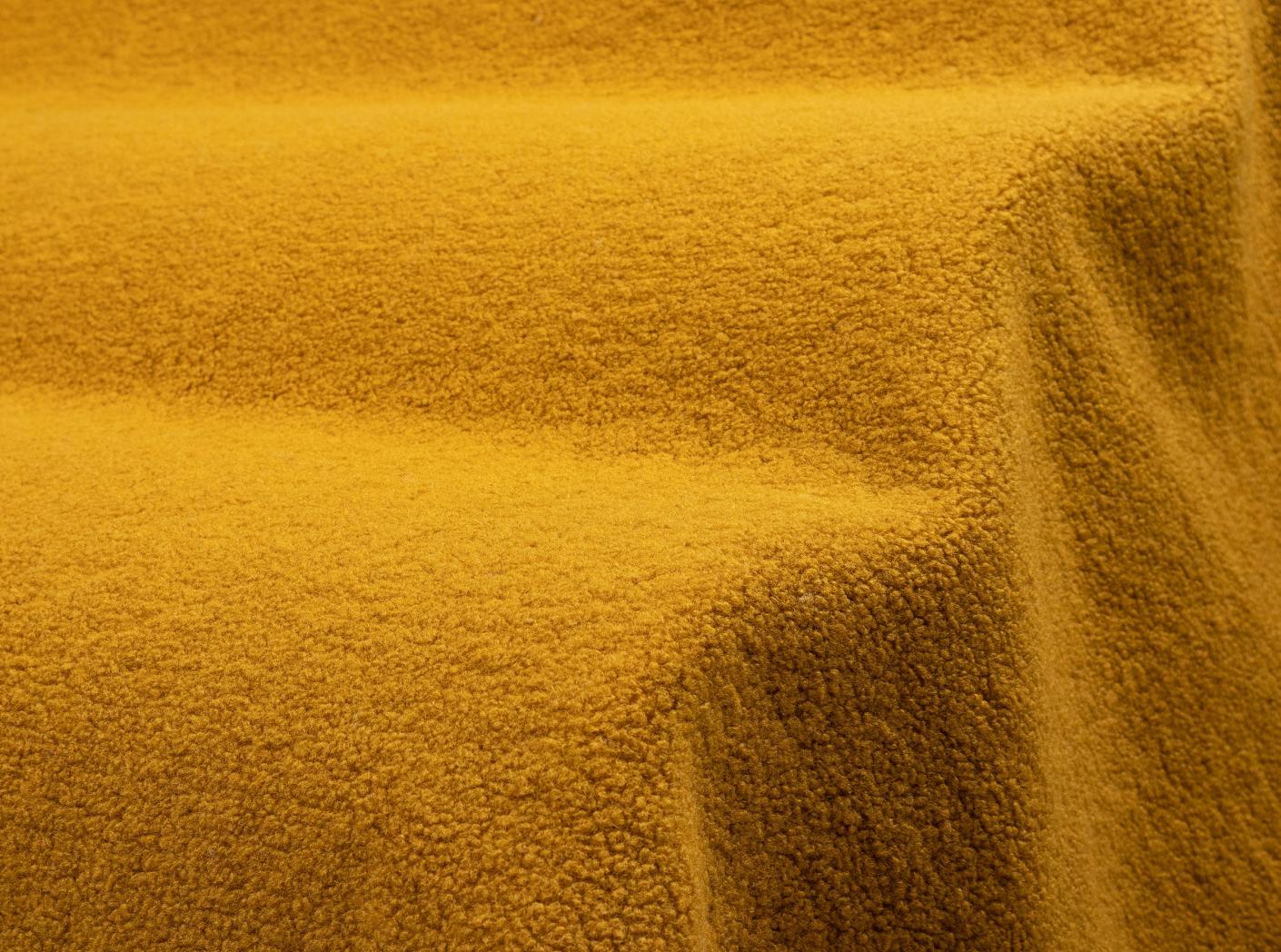 Poodle Ochre Poodle Ochre