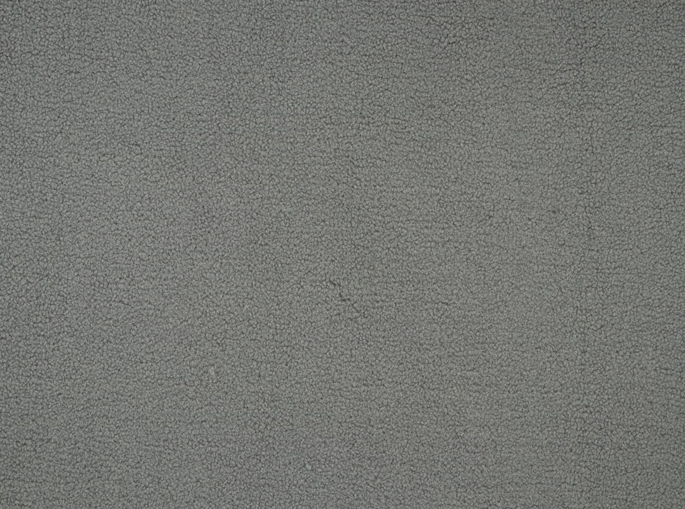 Poodle Ash Poodle Ash