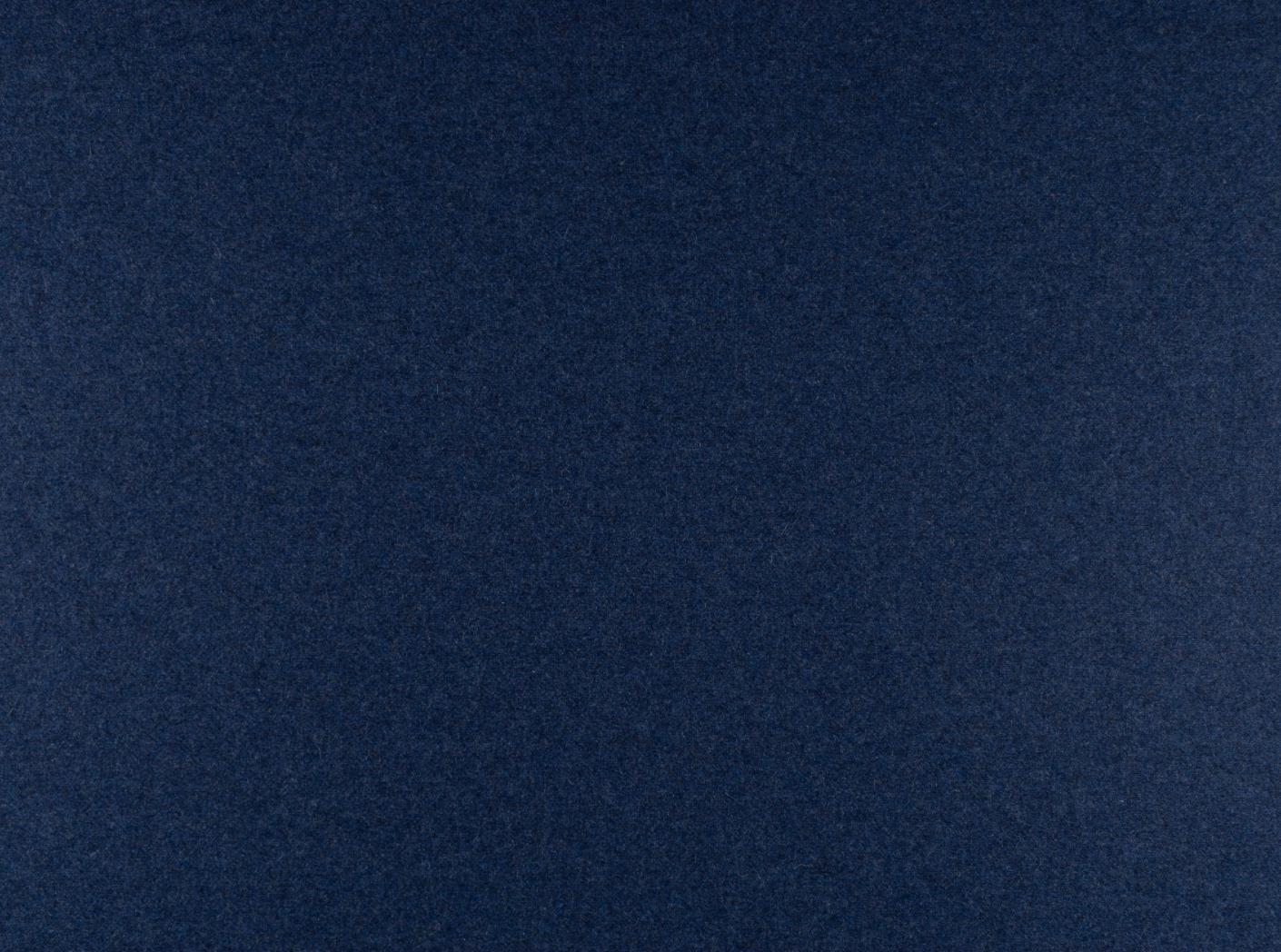 Wooly 2019 marine 2 Wooly 2019 marine 2