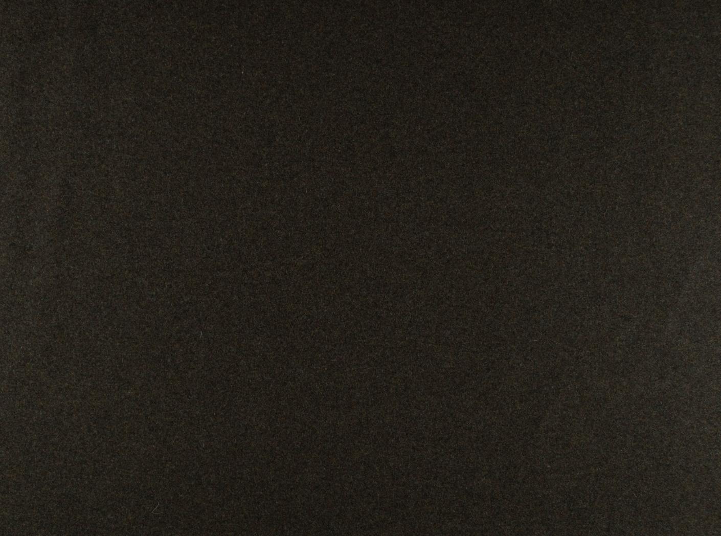 Wooly 1010 forest 23 Wooly 1010 forest 23