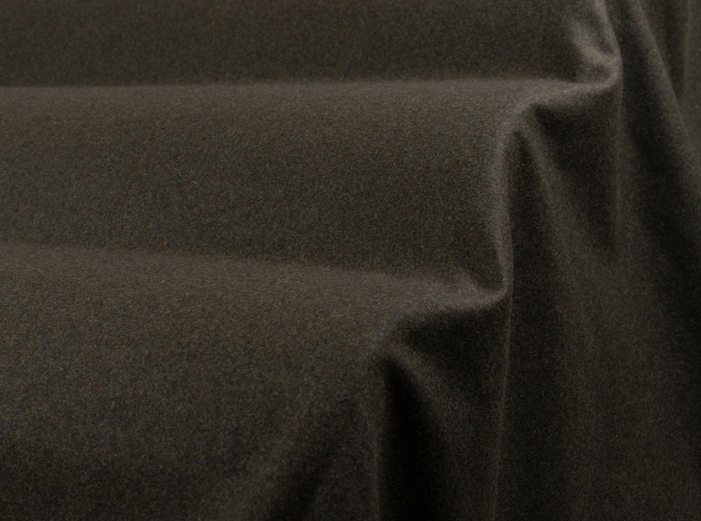 Wooly 1010 forest 23 Wooly 1010 forest 23