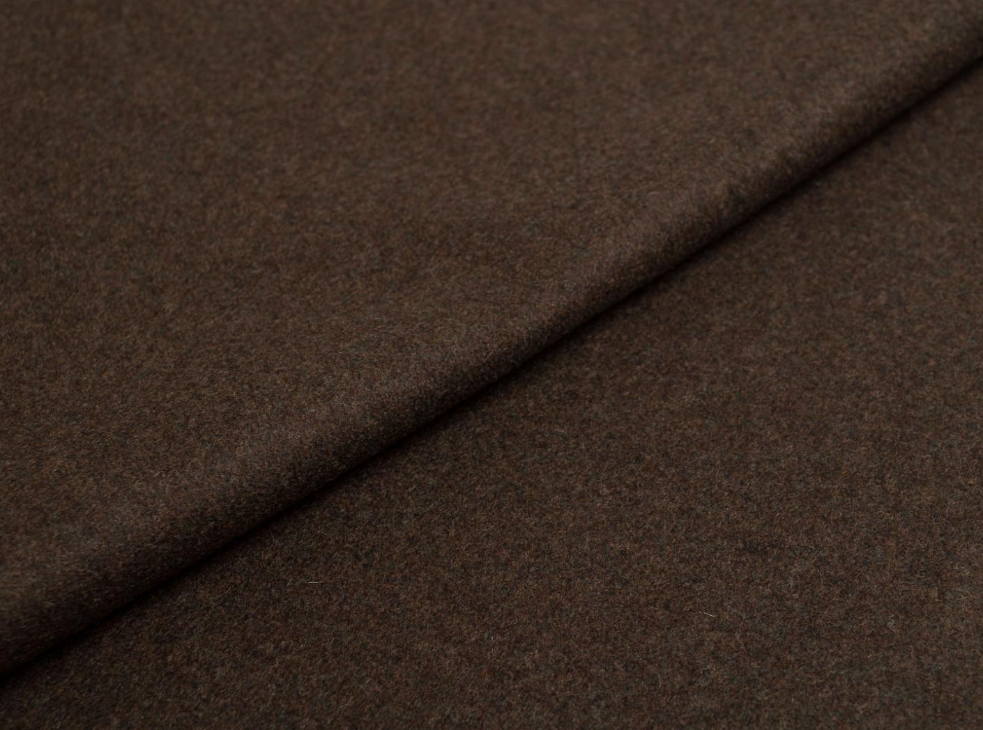 Wooly 1010 forest 23 Wooly 1010 forest 23