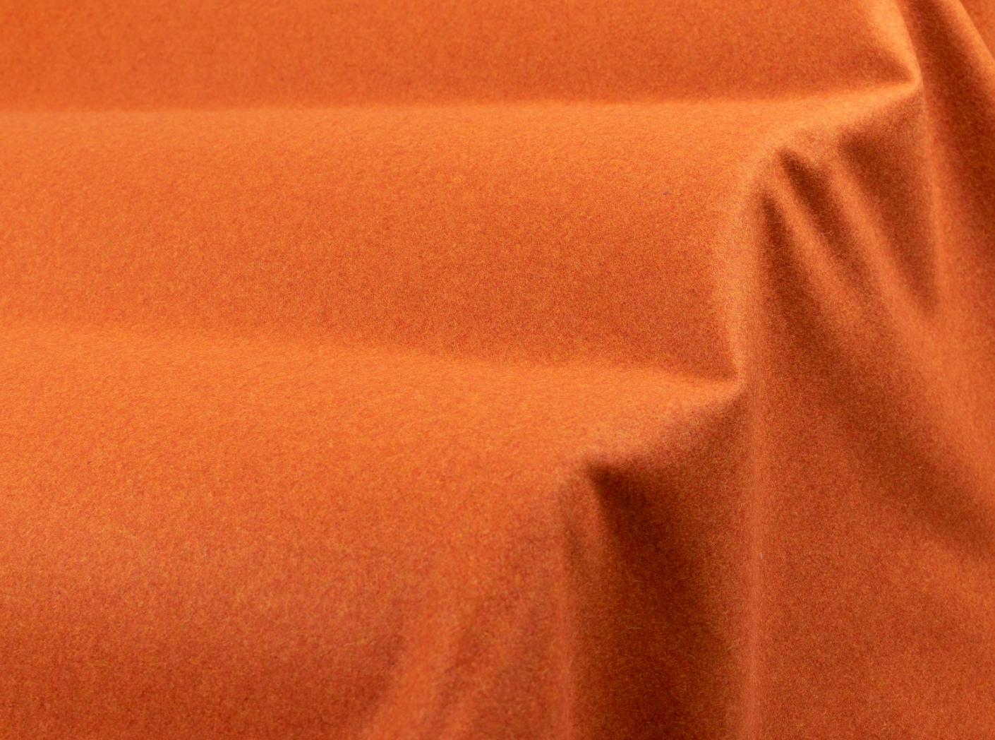 Wooly 2012 B terra 31 Wooly 2012 B terra 31