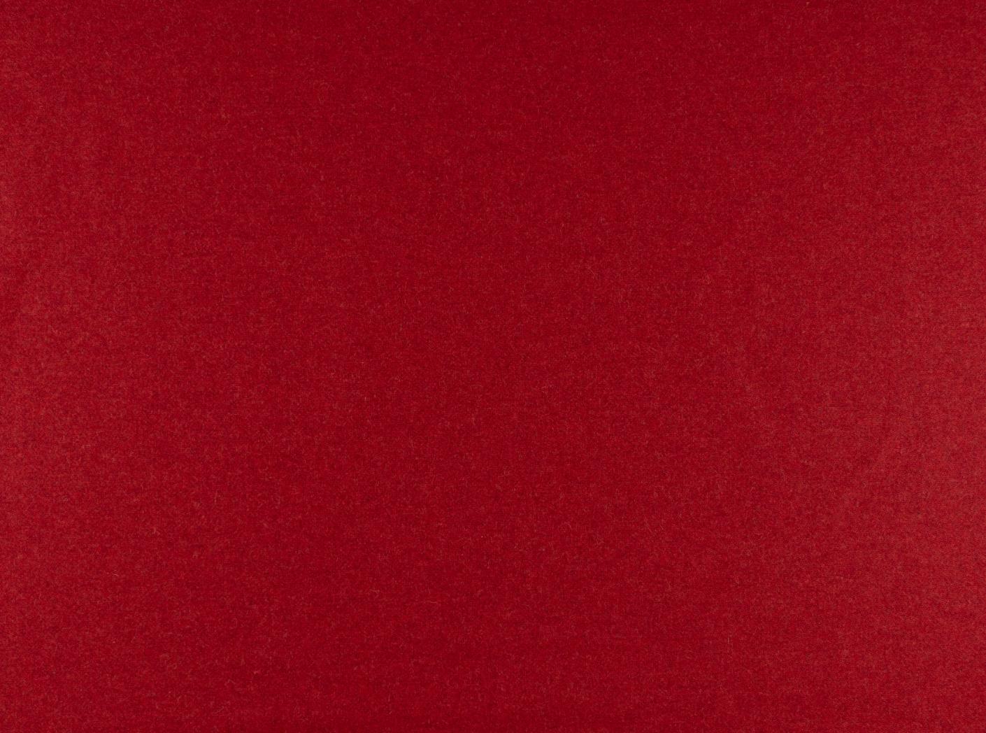 Wooly 2011 tulip 41 Wooly 2011 tulip 41