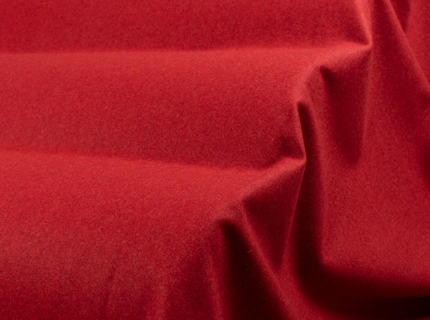 Wooly 2011 tulip 41 Wooly 2011 tulip 41