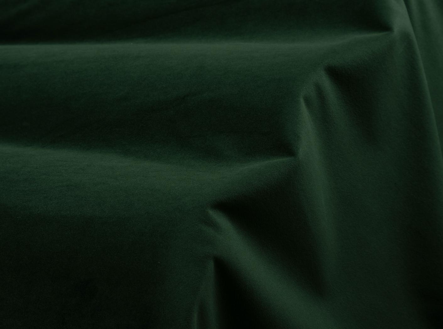 Megan 73 Bonzai Megan 73 Bonzai