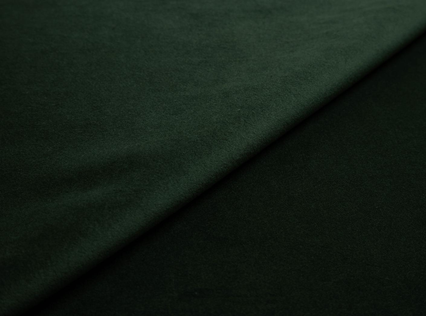 Megan 73 Bonzai Megan 73 Bonzai