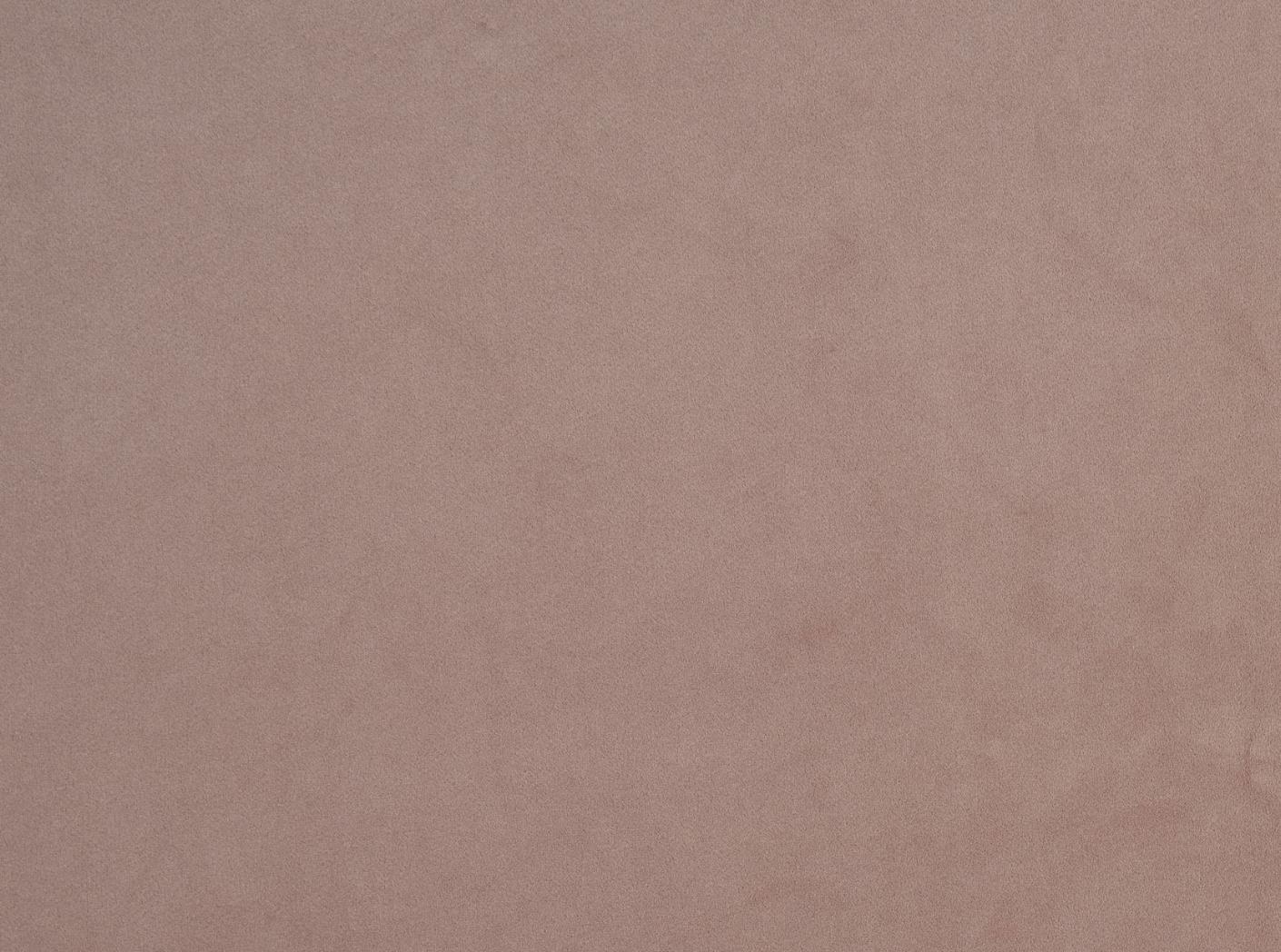 Megan 75 Orchid Megan 75 Orchid