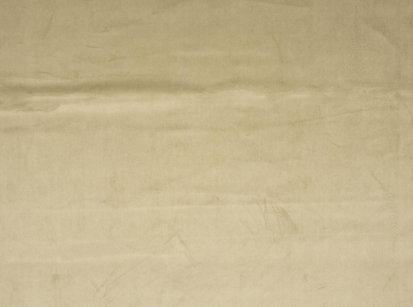 Musone 19 Moss Musone 19 Moss