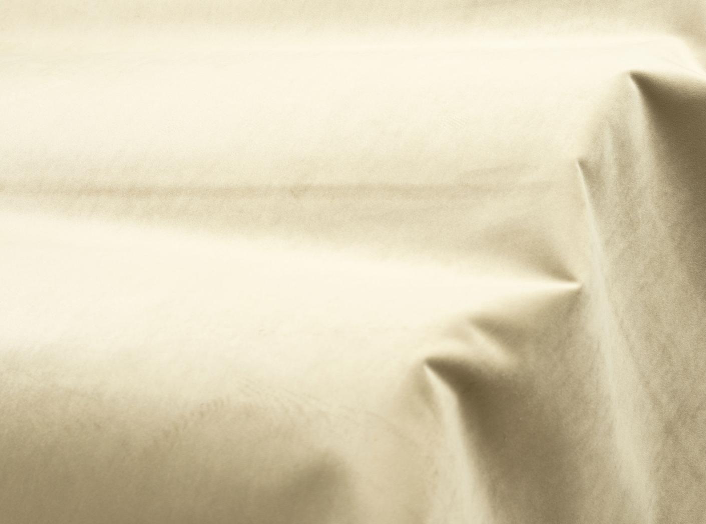 Musone 19 Moss Musone 19 Moss