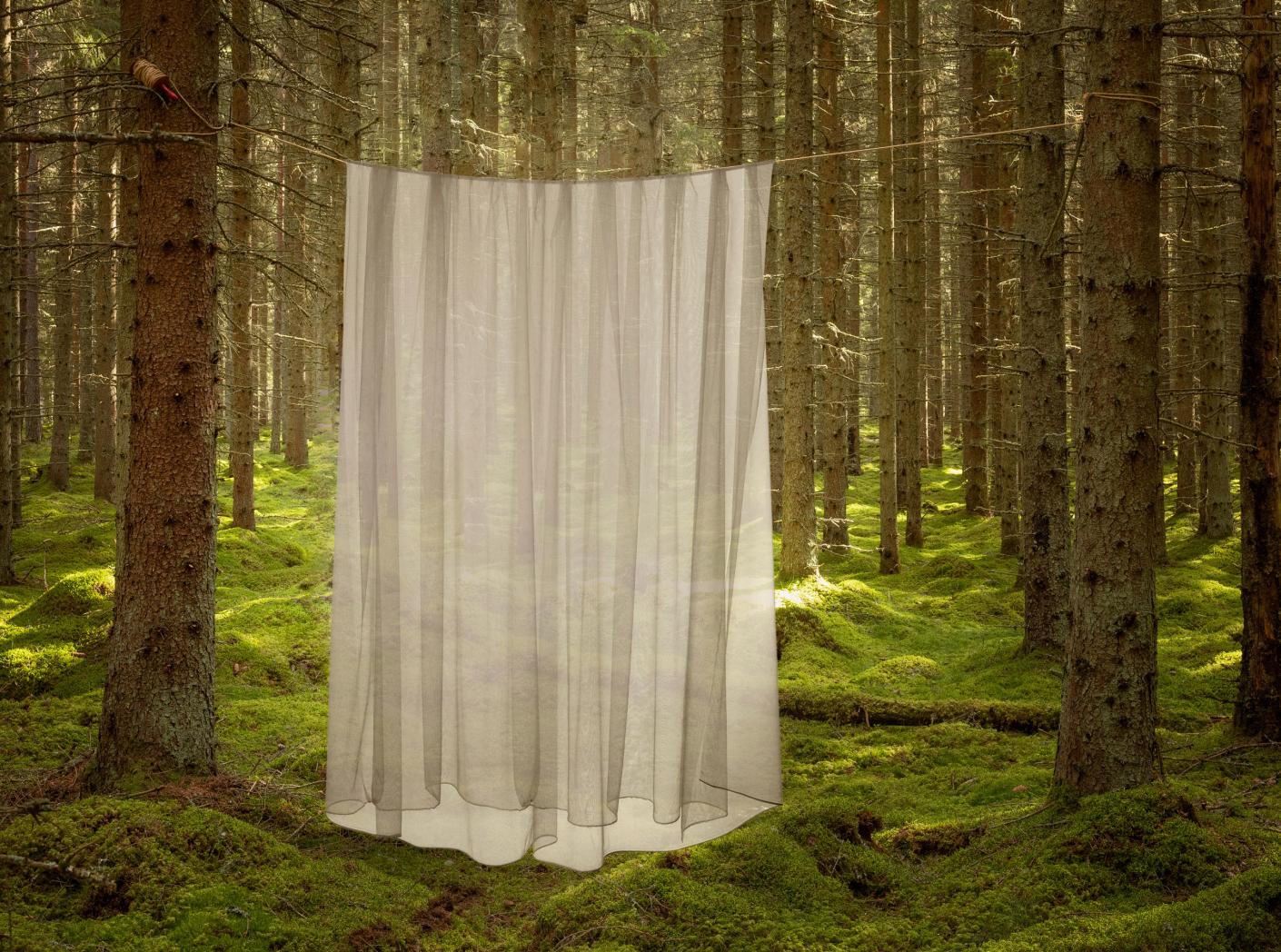 Gardin Catania FR 104 Gold 300 cm Gardin Catania FR 104 Gold 300 cm