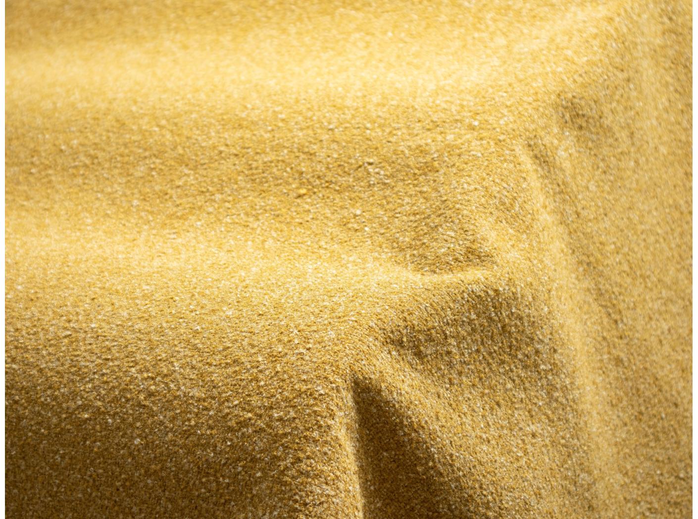 Coco 3005 Corn Coco 3005 Corn