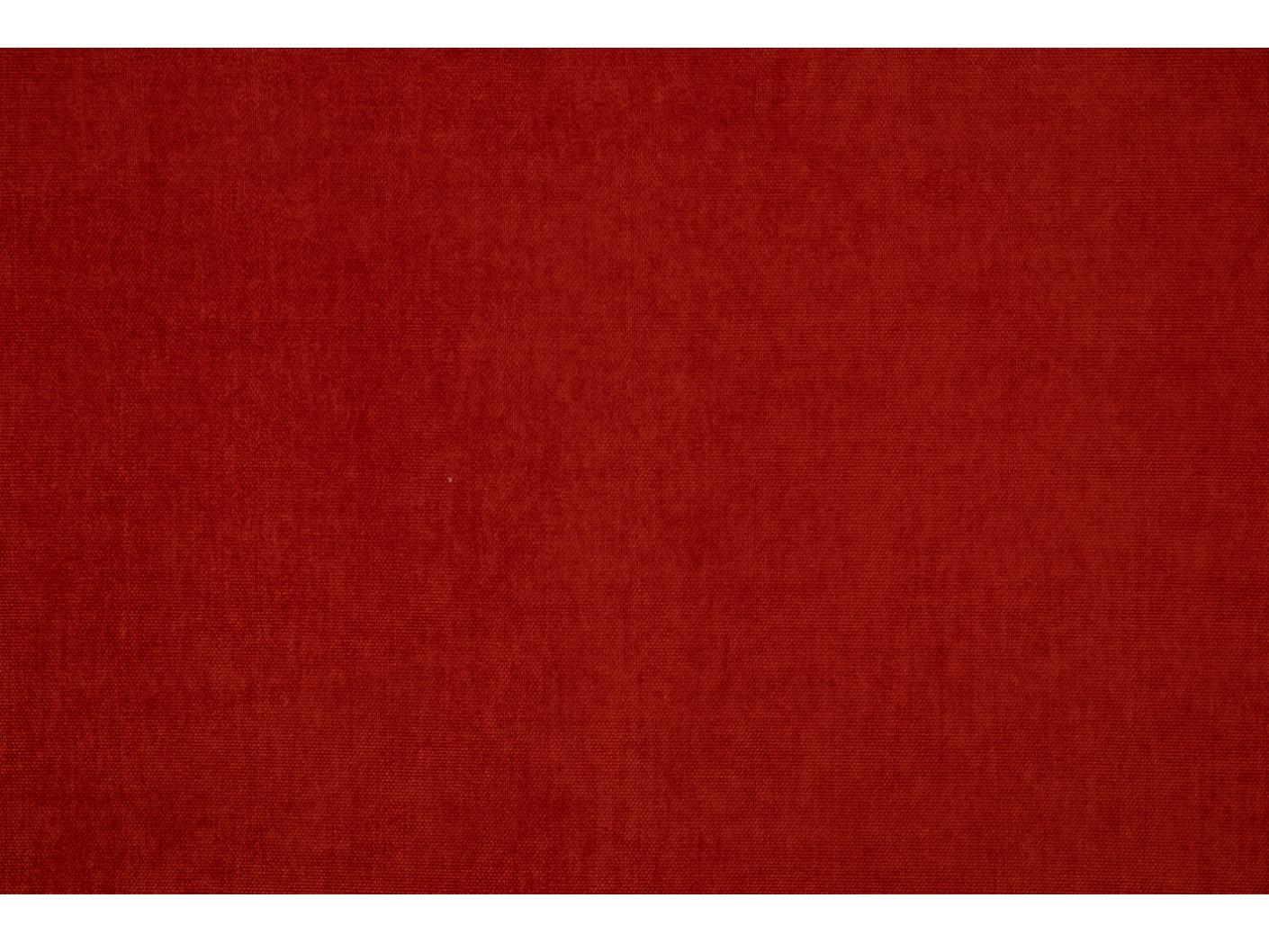 Grace 40 Tomato Grace 40 Tomato