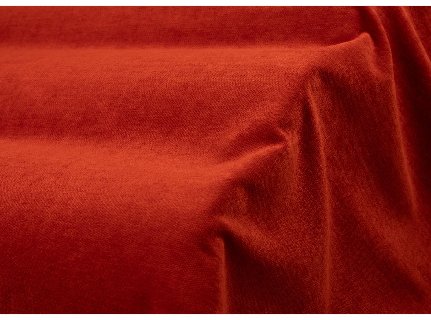 Grace 40 Tomato Grace 40 Tomato