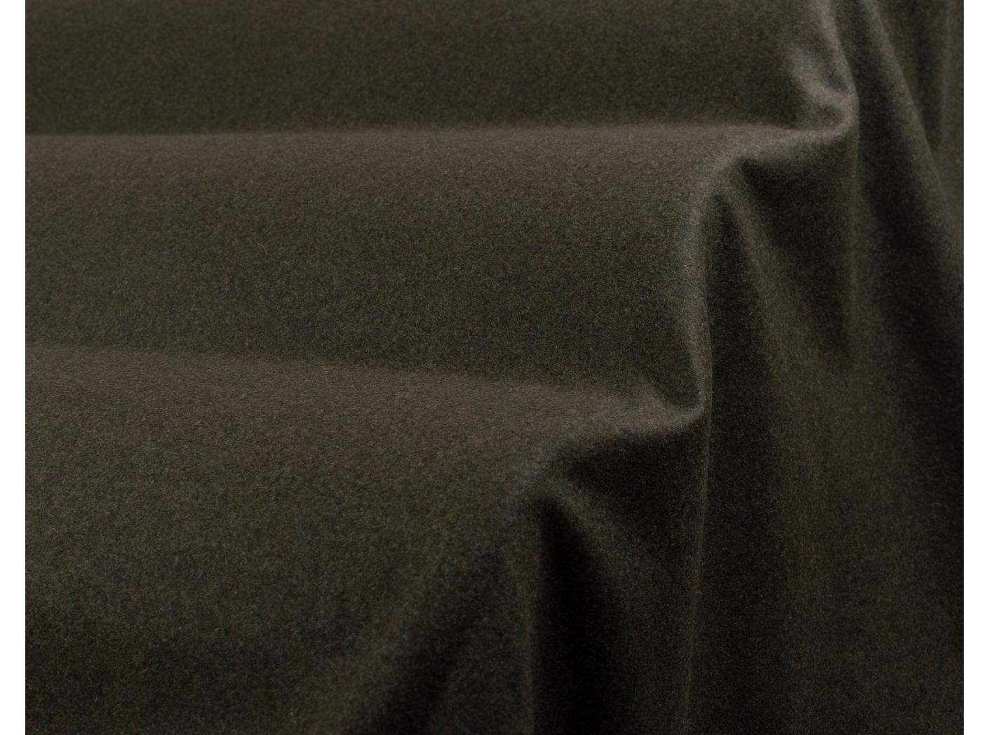 Wooly 1010 forest 23 Wooly 1010 forest 23