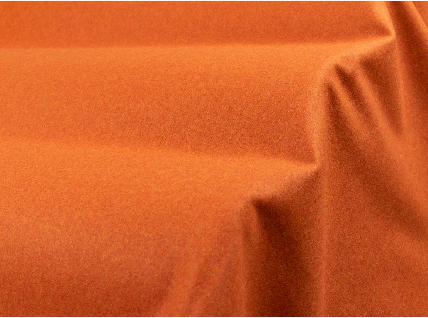 Wooly 2012 B terra 31 Wooly 2012 B terra 31