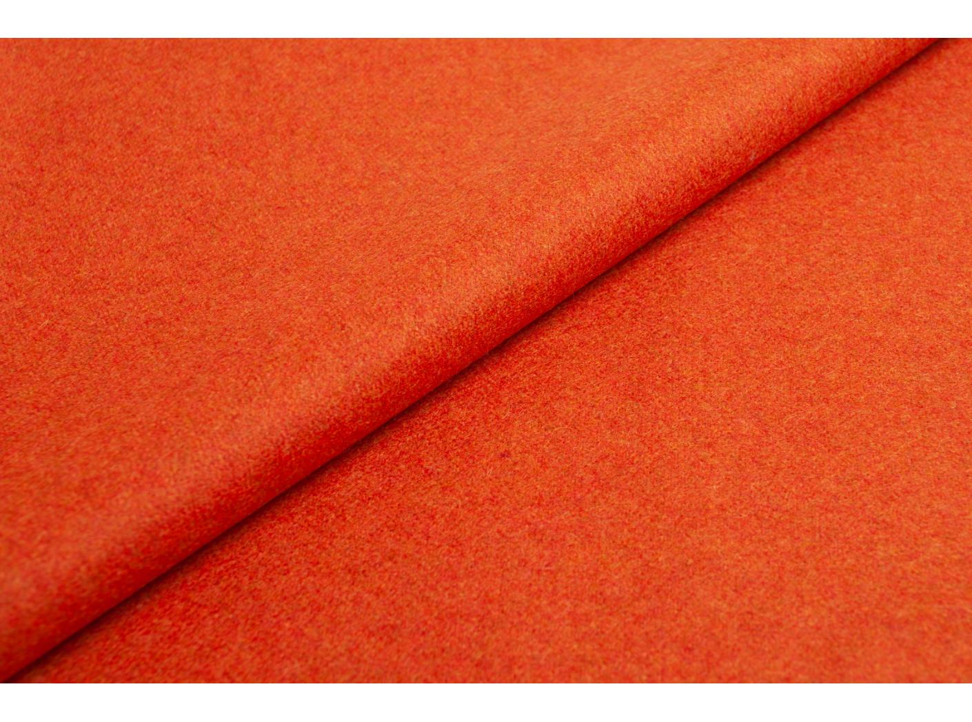 Wooly 2012 B terra 31 Wooly 2012 B terra 31