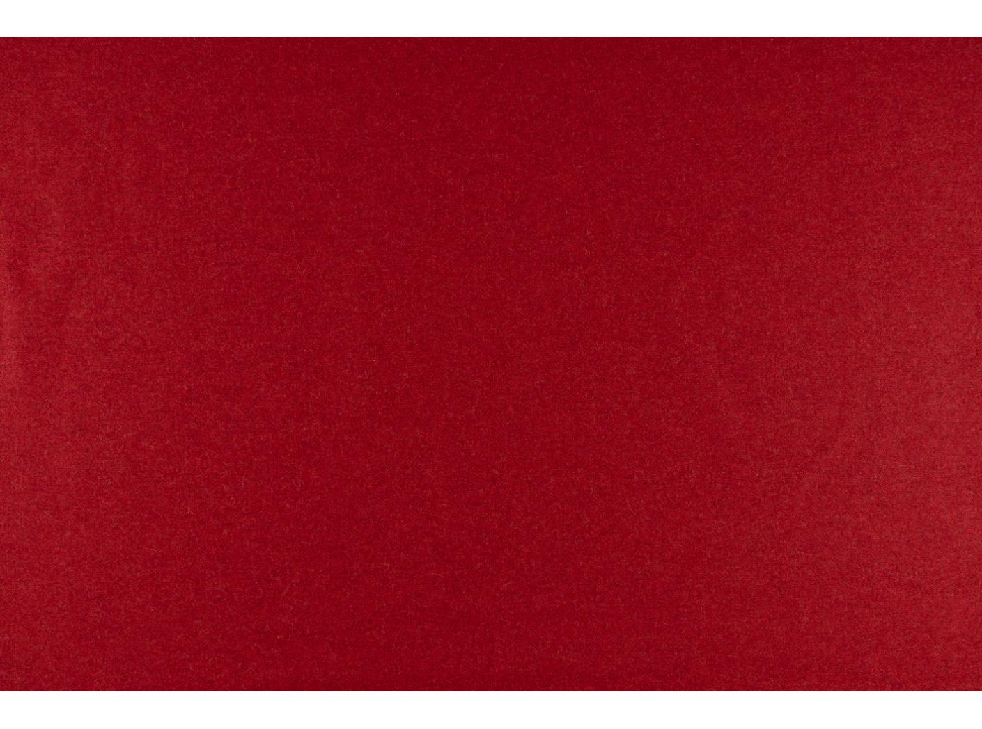 Wooly 2011 tulip 41 Wooly 2011 tulip 41