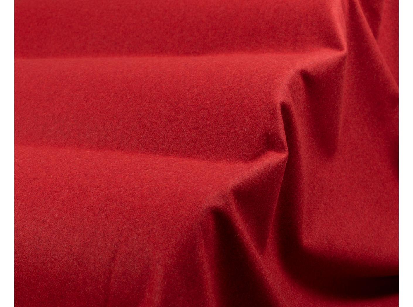 Wooly 2011 tulip 41 Wooly 2011 tulip 41