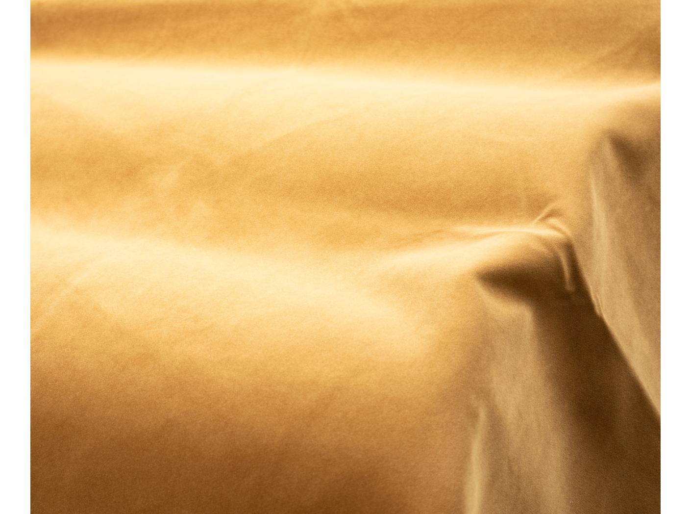 Megan+ 267 Brandy Megan+ 267 Brandy