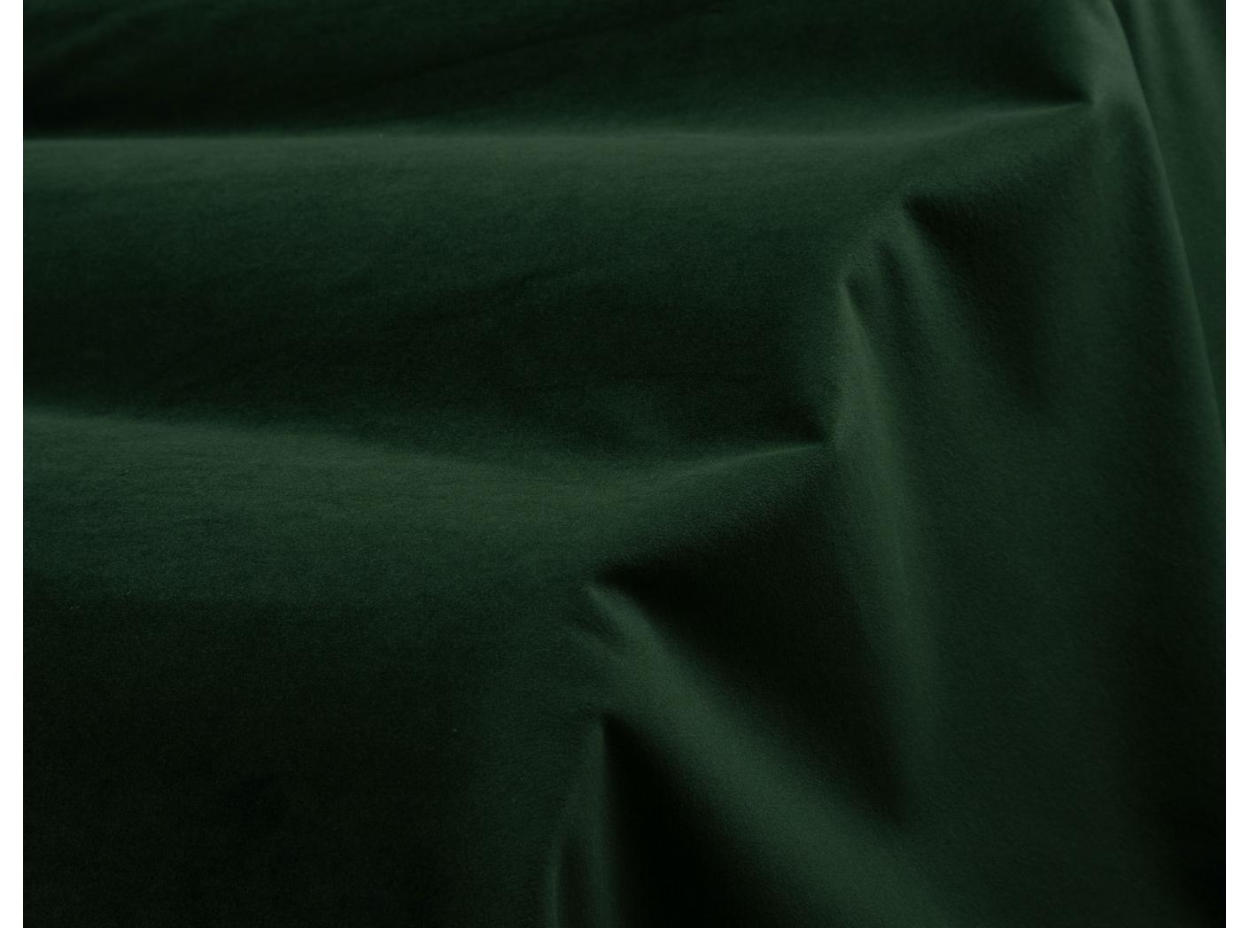 Megan+ 73 Bonzai Megan+ 73 Bonzai