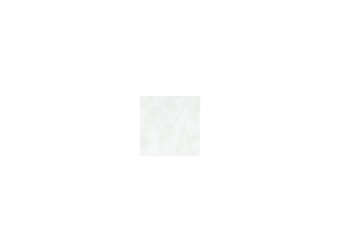 Fibertex nonwoven Spunbond PP White, 40g, 210cm, 500m/rl Fibertex nonwoven Spunbond PP White, 40g, 210cm, 500m/rl