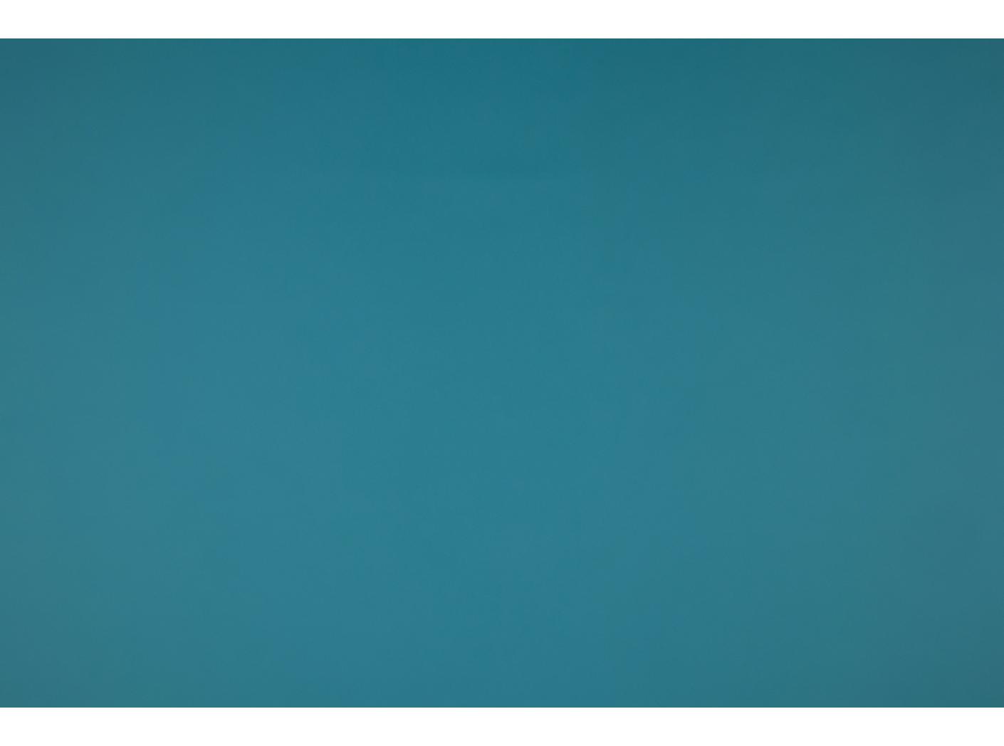 Illusion PU Fg 65066 Bird Illusion PU Fg 65066 Bird